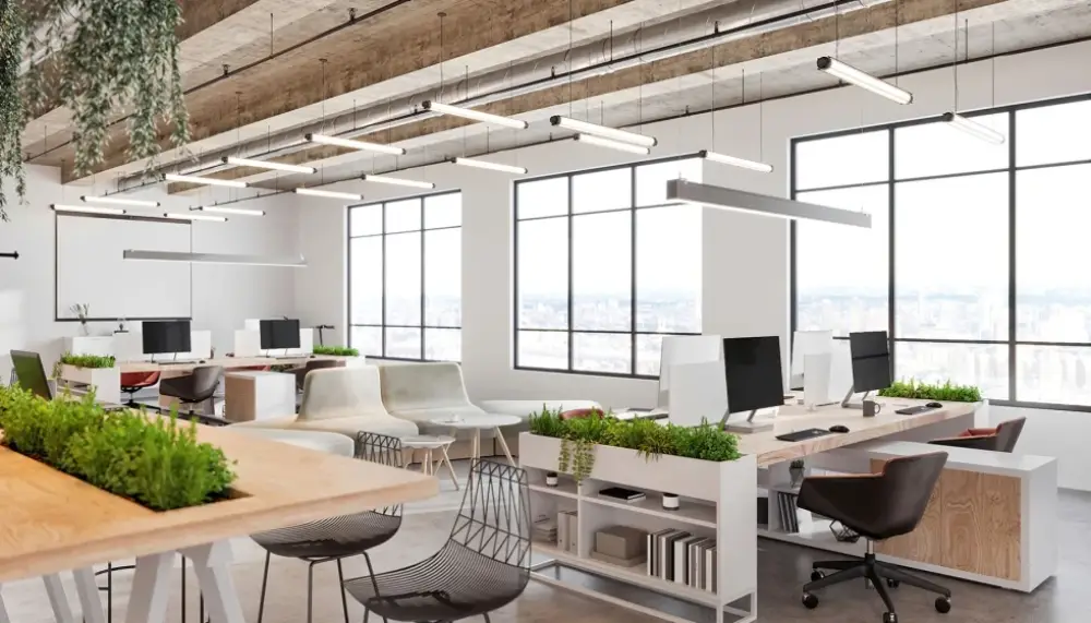 El impacto de la luz natural en tu productividad: cómo aprovecharla al máximo