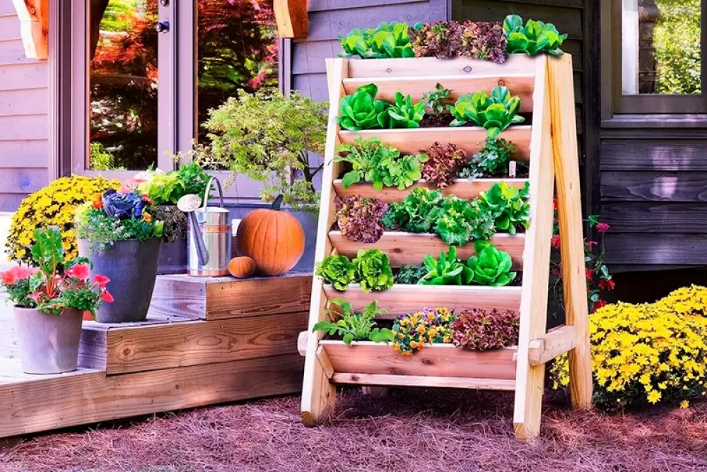 3 cosas que necesitas saber para iniciar tu proyecto de jardín