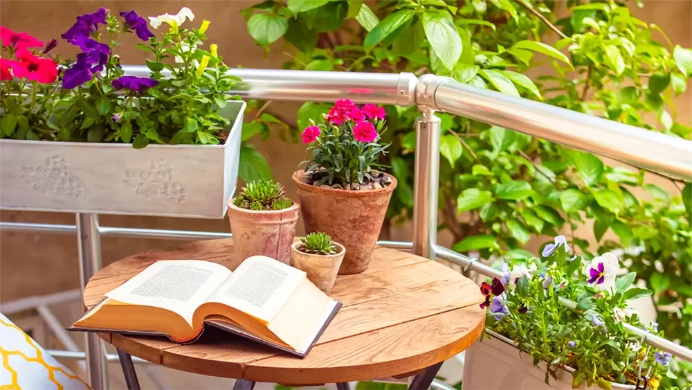 Plantas mágicas para eliminar el pulgón de tu jardín