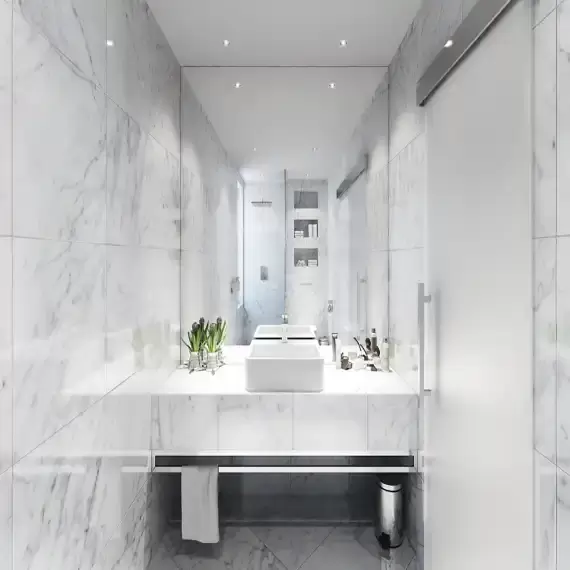 Brasileño blanco fantasía