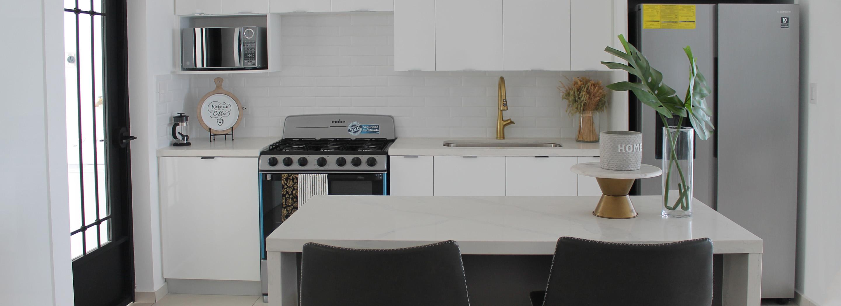 Proyecto de Cocina 2 Olins